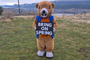 Allan Brooks Nature Centre&rsquo;s official mascot, Okanagan Okie, delivered a positive message after not seeing its shadow on Monday, Feb. 2, at the centre. (Roger Knox - Morning Star)