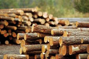 (Black Press file photo)